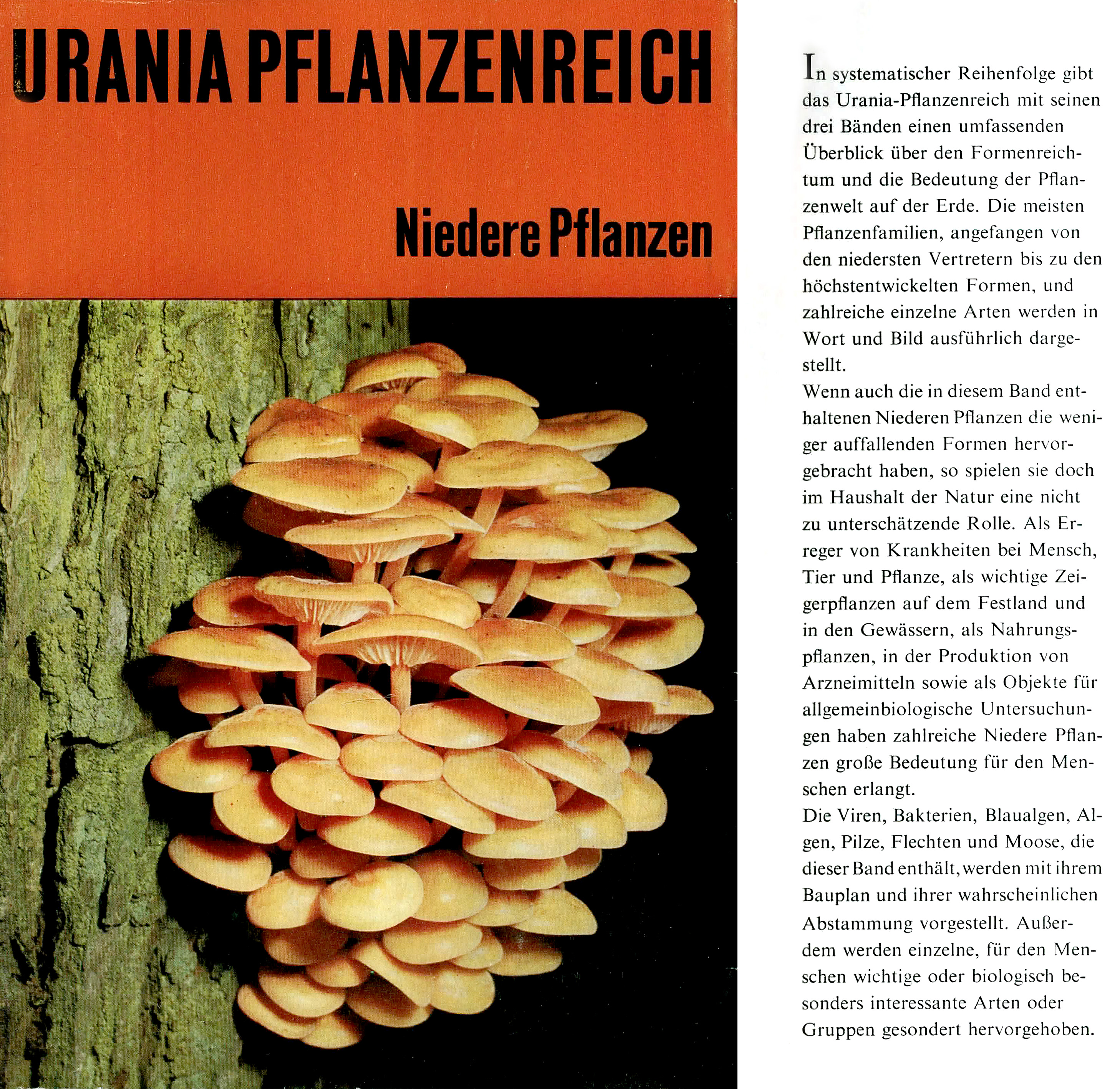Urania Pflanzenreich - Niedere Pflanzen - Autorenkollektiv